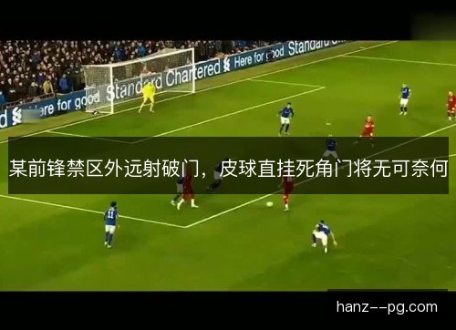 某前锋禁区外远射破门，皮球直挂死角门将无可奈何