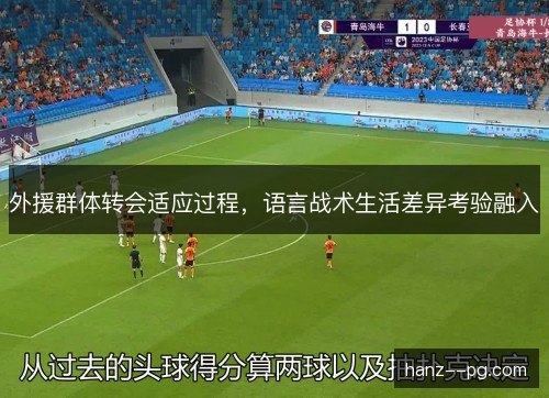 外援群体转会适应过程，语言战术生活差异考验融入